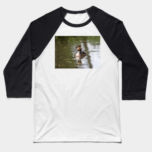 Great Crested Grebe Baseball T-Shirt